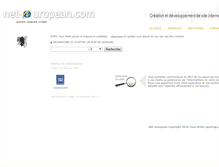Tablet Screenshot of neteuropean.com